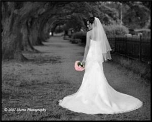 Ibarra Photography - Houston, Houston