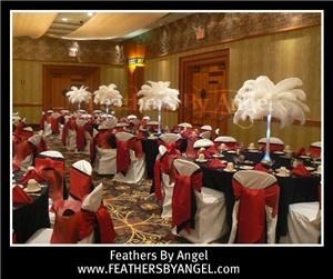 Feathers By Angel-Ostrich Feather Centerpieces - Miami, Miami — Feathers By Angel rent ostrich feather centerpieces for weddings and all events. We travel to all states, travel fee applies. We are full service: travel to your event location, set them up for you then remove them at the conclusion of your event. Visit our site at www.feathersbyangel.com