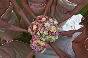 blossoms design  boutique