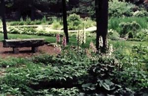 Grounds, The Essex Conference Center & Retreat, Essex — You'll venture into a magical setting of towering pines and the scent of the sea blowing through our wind chimes. A waterfall tumbles into a lily covered pond, a small stream wanders among the perennial beds, and in the middle of all this beauty you and your guests celebrate the joy of your special day.