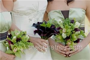 Cheshire Tree Floral Designs