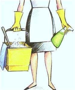 Gennie's Cleaning Service, Las Vegas — Gennie's Cleaning Service Comes Prepared