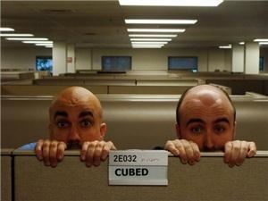 CUBED Improv Comedy