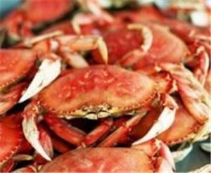Dad's Crabs, LLC, Falls Church — Crab Feasts, Crab Leg Feasts, Lobster Feasts, Clam Bakes, Shrimp Boils, Crawfish Boils, Oyster Roasts, Fish Fry's, and  Barbeque for weddings, receptions, meetings and private parties at your home, office, the beach or any special location you can dream up.