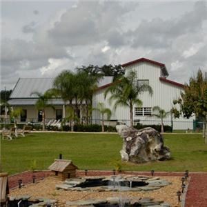 Blueberry Hill Resort