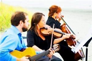 the Grace Note String Trio ~ Beautiful Ceremony Music ~ Violin, Cello, Harp, Flute & more
