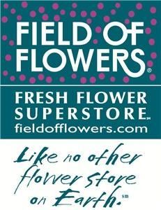 Field Of Flowers - Boca Raton