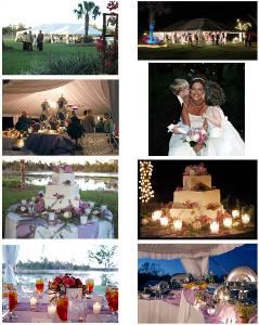 Gardens, Wild Acres Villa, Orange City — Weddings At Wild Acres