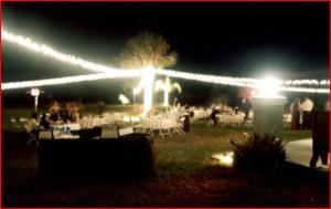 Wild Acres Villa, Wild Acres Villa, Orange City — Our LED garland lights will cover an area to accomodate over 300 guests with ambient light and can be in various colors or combinations.
