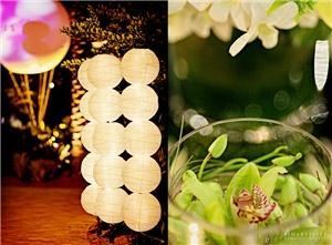 Dream Weaver Wedding & Event Planning, Fort Myers