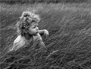 Michael Wood Photography, Fort Saskatchewan