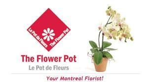 The Flower Pot - Gifts & Favors, Montreal