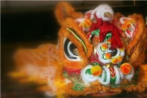 Chinsese Dragon dancers, Washington — THe Chinese Dragon/Lion is suitable for any event. The Dragon/Lion dance is an ancient ritual used to drive away evil spirits and bring GOOD LUCK! This ritual dance can be performed in any size space.