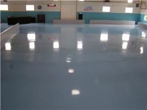 Entire Facility, WheelZ Skate Arena, Tacoma