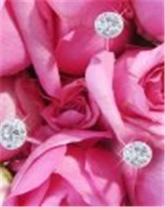 Alpha & Omega Event Consultants & More...., Palm Coast — Alpha & Omega Floral provides the best in "Fresh" or "High Quality Silk Floral" to fits everyone needs and budget. Call and schedule your "Complimentary Consultation" and let us create and design your bouquet just for you. 904.720.0067