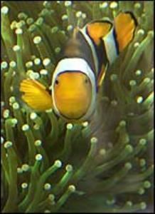 The PPG Aquarium & Plaza, Pittsburgh Zoo & PPG Aquarium, Pittsburgh
