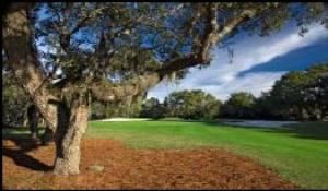 Bay Point Resort - The Meadows Course, Bay Point Resort The Meadows Course, Panama City — The Meadows Course At Bay Point- The Meadows Course, renovated in 2004, is the epitome of country club golf ... a course you can play day in and day out without even a touch of boredom.