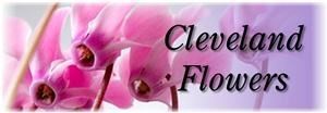 Cleveland Flowers, Cleveland