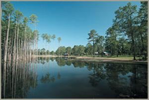 Grounds, Wynfield Plantation, Albany