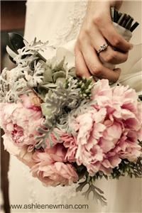 Ashlee Newman Photography