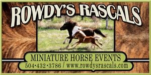 Rowdys Rascals Pony Parties and Petting Zoo