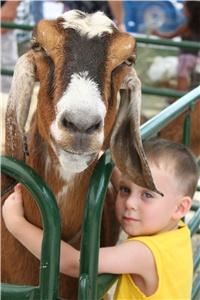 Honey Hill Farm 41018, Erlanger