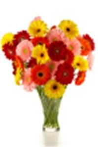 Penny's Florist Shop Inc.
