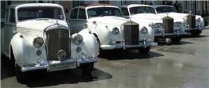 South Florida Hummer Limo & SUV Limos