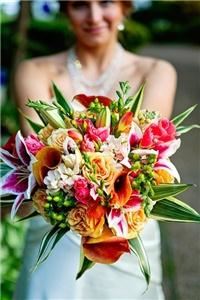 Bloom the Art of Flowers