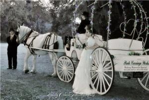 Pinto Carriage Works, LLC - Daytona Beach