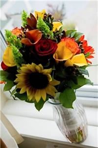 Ganim's Garden Center and Florist, Fairfield