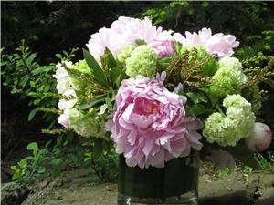 The Little Glass Slipper Flowers and Herbs, New York — Fresh and simply beautiful flowers for your special day. Interested in learing more. Give us a call at 888.863.7535 or email us at info@thelittleglassslipper.com