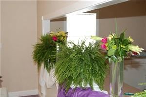 Joy's Touch of Class, Event Decor & Gift Shop