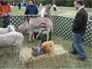 Traveling Petting Farm Zoo and Ponies for Parties