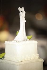 Piece of Cake Event Coordinating, Medina — Pick Piece of Cake Event Coordinating for all of your planning needs!  Whether your event is big or small we can help with all of your needs.  We will help you create a unique event that suits your personality and individuality.  We can't wait to hear from you!  Check out our website and contact us with any questions you may have.  We look forward to working with you!