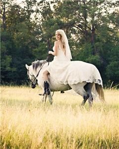 Donna Quarles Studio & Gallery, Lufkin