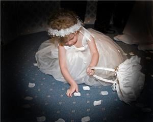 Barbara Tillison Photography