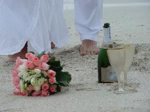 Destination Weddings of Florida, Inc.