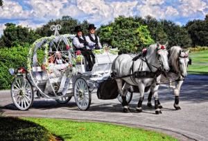 HighHorse Carriage Rides, Inc.