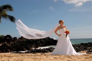 Blue Ocean Weddings