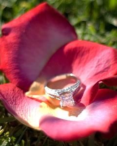 Rachel Rose Photography, Moorpark