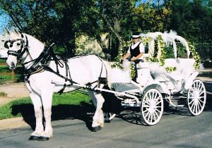 Angeli Carriages