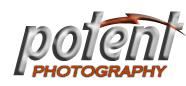 Potent Photography