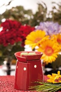 Scentsy Wickless Candles