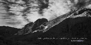 Dan Robertson Photography
