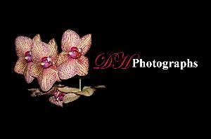 DH Photographs, Port Huron