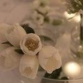 Charmed Weddings