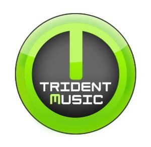 Trident Music Services, Brandon — Trident Music offers the best DJ service for your Socials, Weddings Ceremony/Receptions, Birthday Parties,Christmas, Live Music, Karaoke, Windups, School and College Functions. The best and professional lightings and Sound to make your party more memorable. Just a Call......We get your party, the best ever!!!!..dj@tridentmusic.ca. Book your event before july 31st. Avail 10% discount