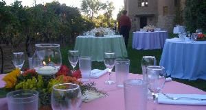 Vineyard Garden, Casa Rondena Winery, Albuquerque — Vineyard Garden
