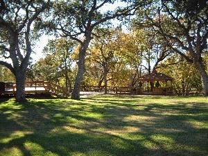 Outdoor Area, Creekside, Driftwood